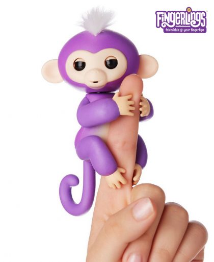JN-BabyMonkey