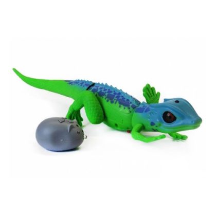 GM_ExplorationJungle