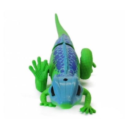 GM_ExplorationJungle_