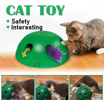 KR_CatToys