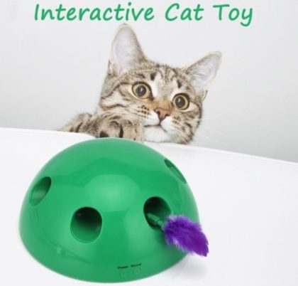 KR_CatToys___