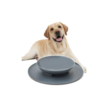 KR_DogBowl