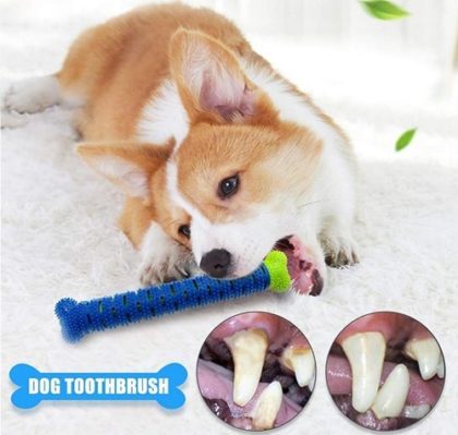 KR_DogTooth