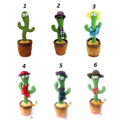 gm-cactus01