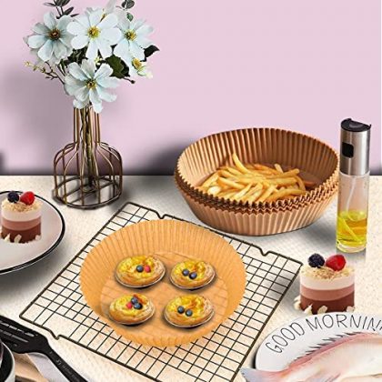 GM-AirFrayer100Paper03