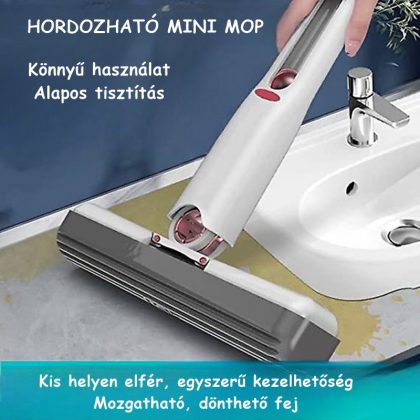 GM-MiniMop01