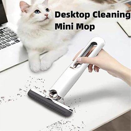GM-MiniMop03