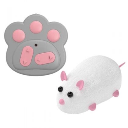 GM-RCMouse02