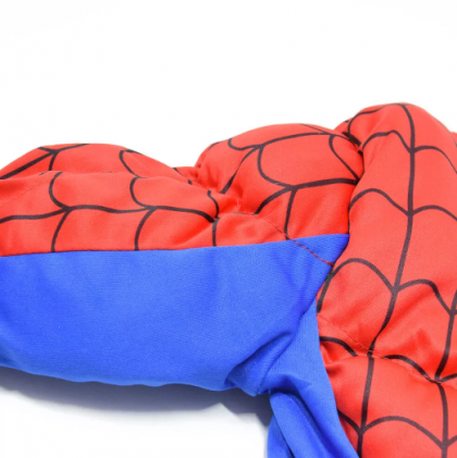 GM-MuscularSpiderman02